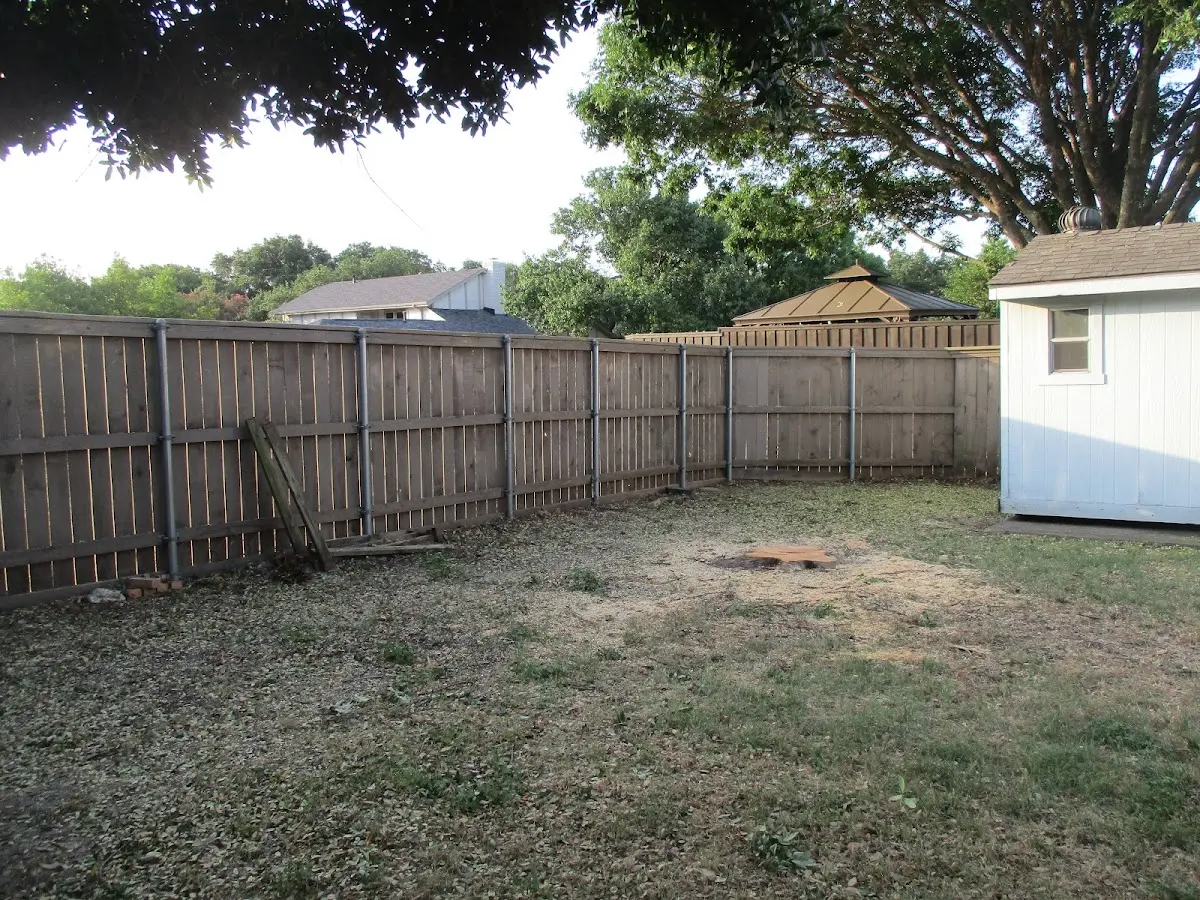 Cleared yard after professional tree removal in Keizer
